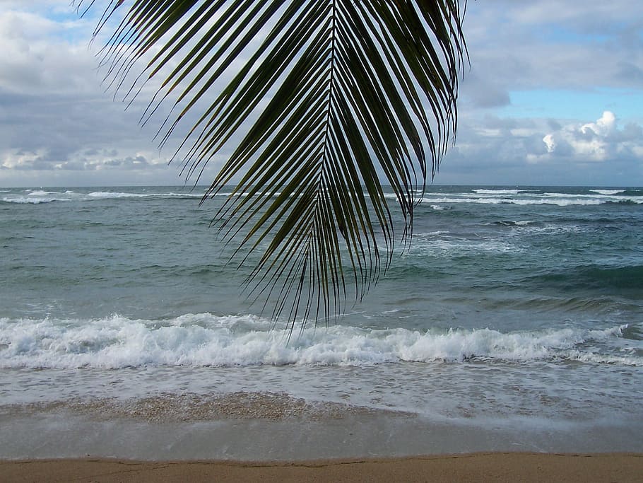 Martinique, Sea, Caribbean, Caribbean, Island, sea, caribbean, island, ocean, beach, holiday, sky