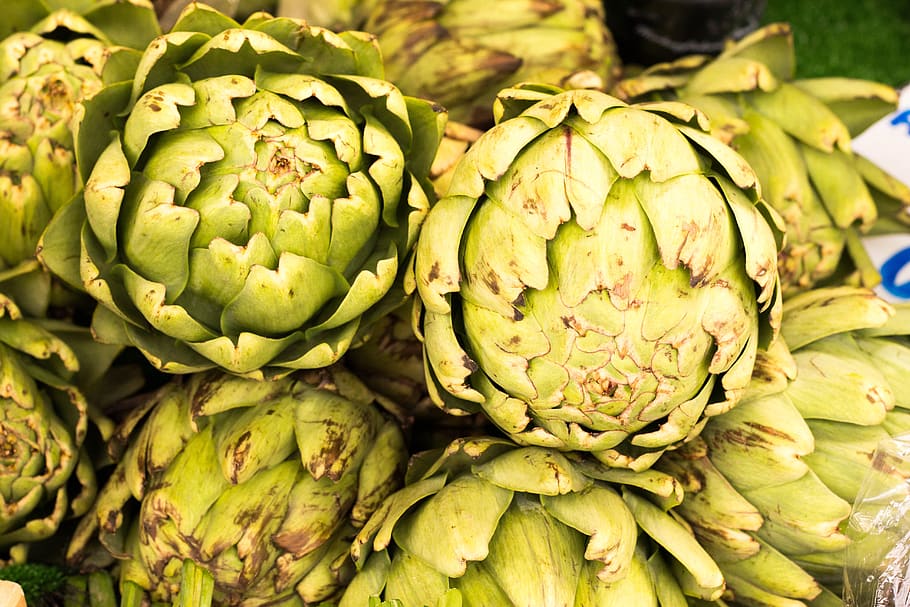 artichoke, green, cook, food, food and drink, healthy eating, freshness, wellbeing, vegetable, green color