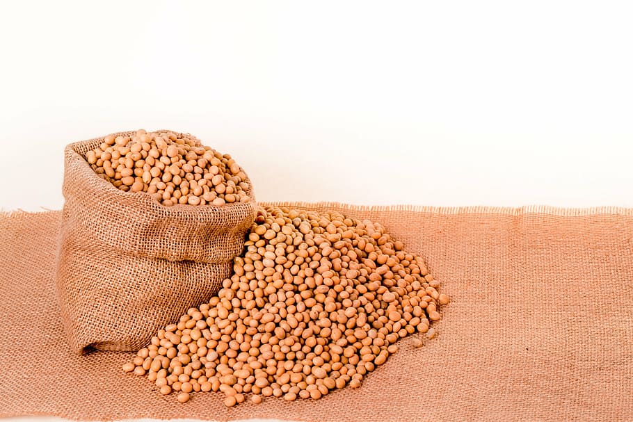 soybeans, plants, seeds, bag, burlap, grain, oil, beans, seed, food