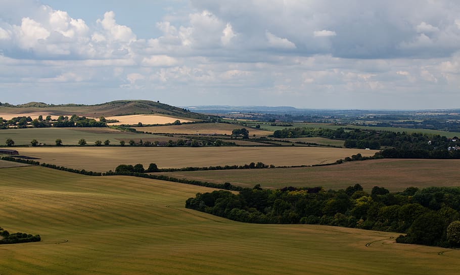 chilterns, english countryside, rolling hills, dunstable, dunstable downs, bedfordshire, england, countryside, landscape, green