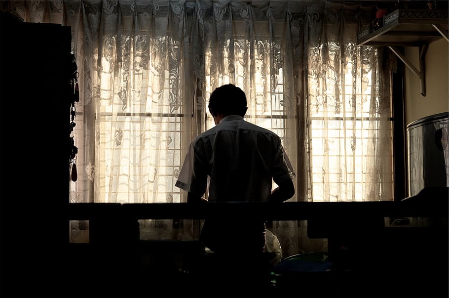 guy, man, dark, room, curtains, drapes, people, real people, curtain, rear view