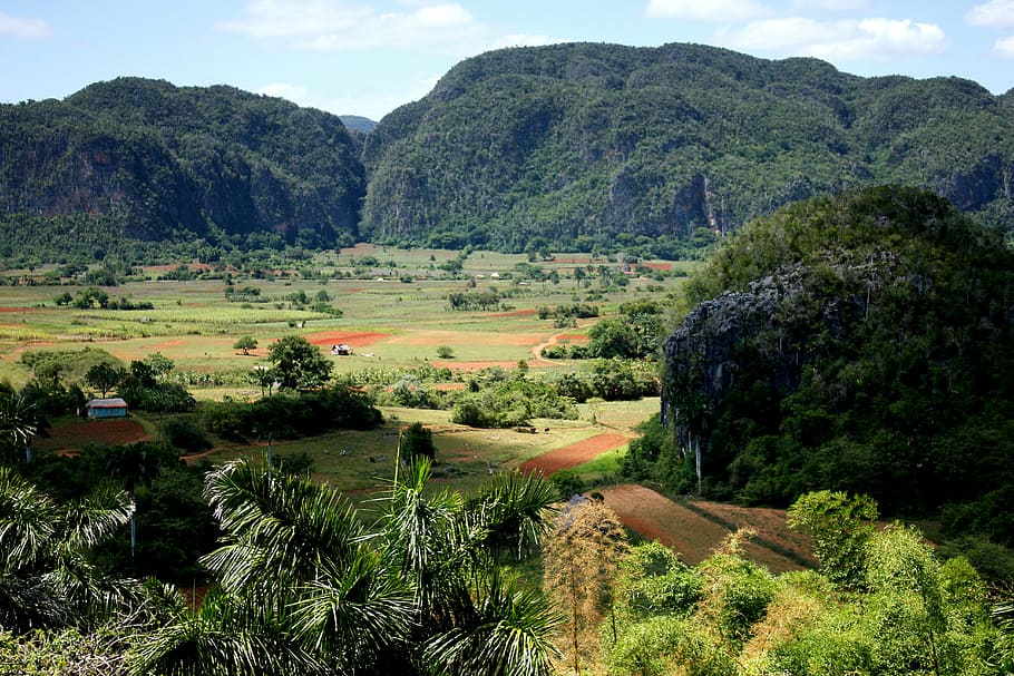 mountains with trees, viñales valley, cuba, landscape, nature, plant, trees, meadow, green, tree