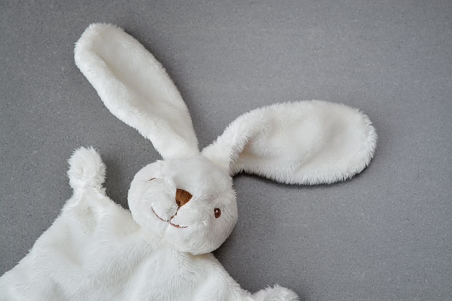 fotografia, branco, coelho, pelúcia, brinquedo, brinquedo de pelúcia, superfície, lebre, coelho de tecido, manta de segurança
