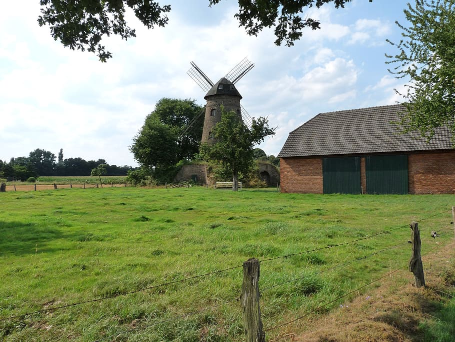windmill, mill, barn, fence, niederrhein, river landscape, meadow, historically, plant, architecture
