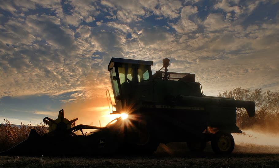 silhouette, farm tractor, field, combine, soybean harvest, sunset, agriculture, soybean, machinery, harvester