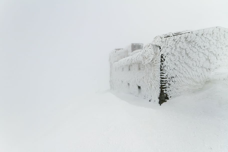 雪に覆われた家, 吹雪, 雪, 家, 冬, 寒さ, 天気, 屋外, 冷凍, 真っ白 