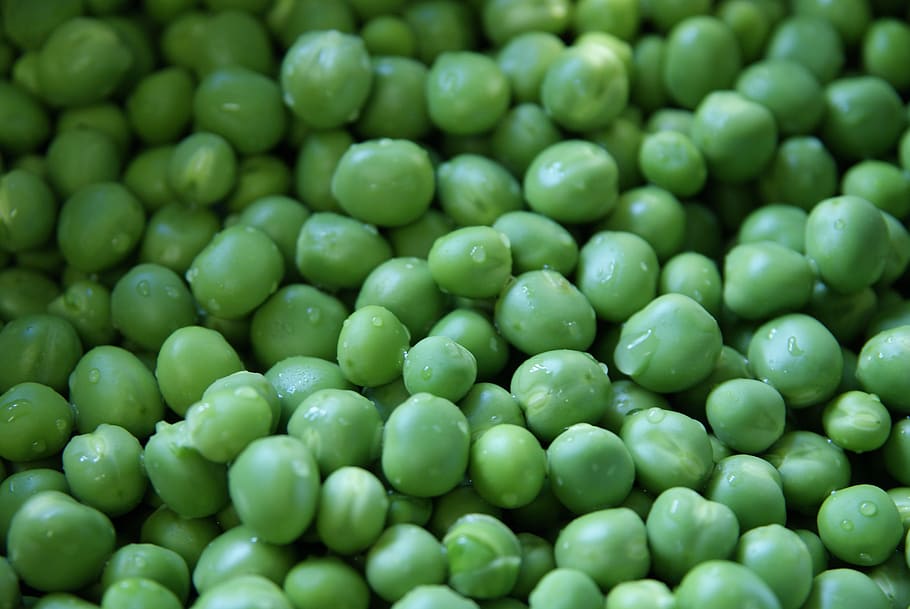 peas, garden peas, vegetable, healthy, legume, fresh, green color, food and drink, green pea, food