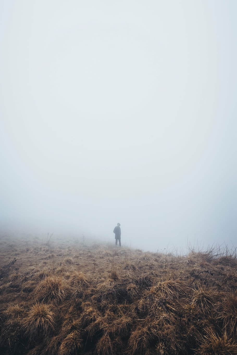 person, standing, brown, grass, fog, mountain, highland, outdoor, hike, trek