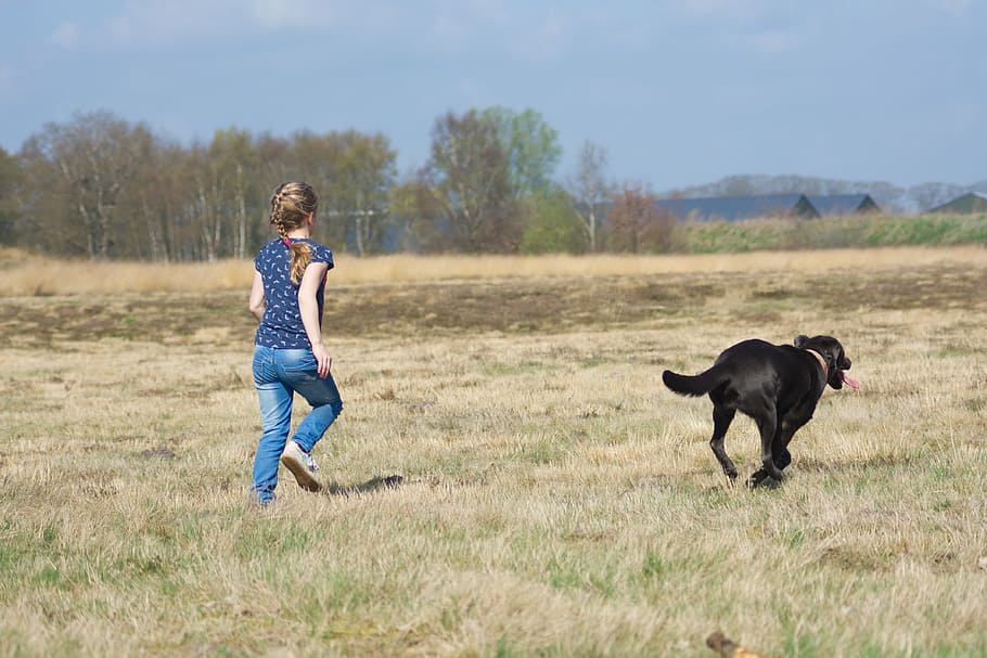 running, child, labrador, dog, zoogdieren, hond, gras term, veld, hooiland, mammal