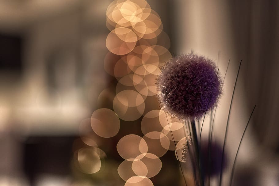 christmas, lights, holiday, decoration, lighting, xmas, bright, glowing, colorful, evening