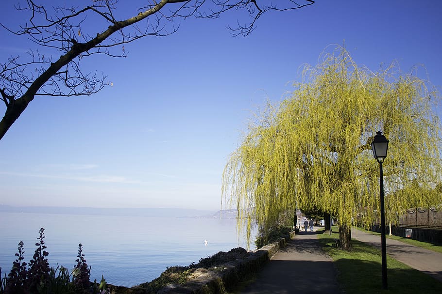 montreux, swiss, switzerland, lake, sky, walk, blue, majestic, tranquil, clear