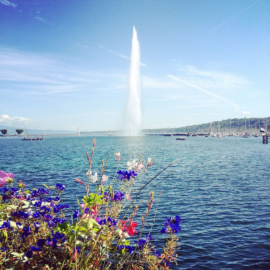 Water Jet, Geneva, Switzerland, geneva, switzerland, lake geneva, water, flower, spraying, motion, day
