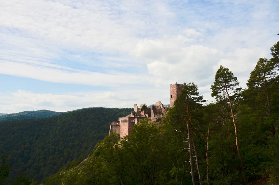 burgruine, alsace, france, castle, ribeauvillé, chateau de saint-ulrich, building, masonry, historically, old