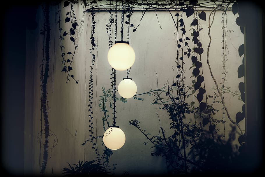 tiga, lampu gantung bulat, digantung, atap, bayangan hitam, tanaman merambat, lampu, lentera, desain, gantung