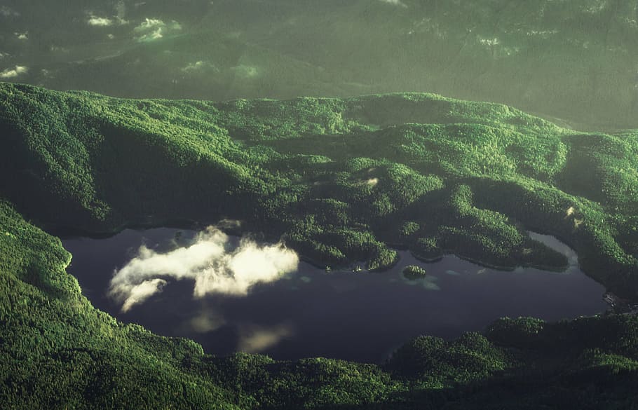 top-view, mountain, covered, trees, aerial, body, water, surrounded, green, horizon