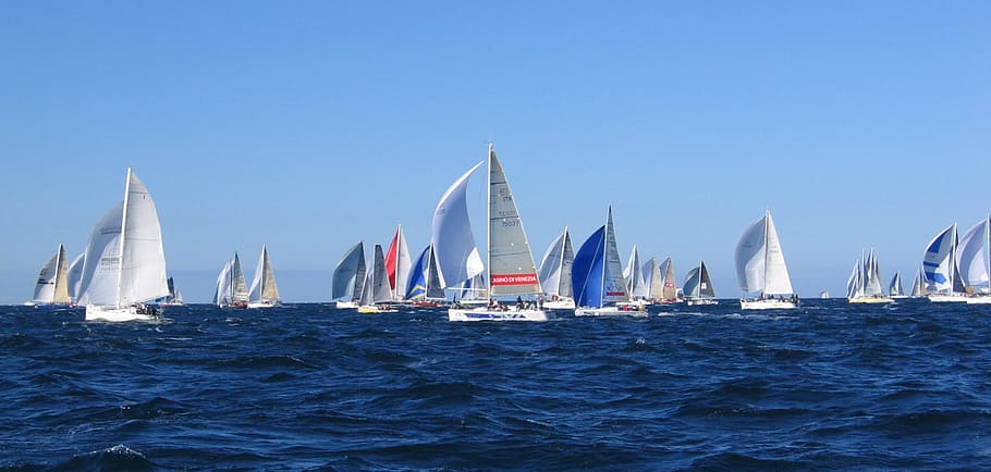 Vela, Sea, Wind, Boats, barcolana, sailboat, nautical vessel, blue, sailing, sailing ship