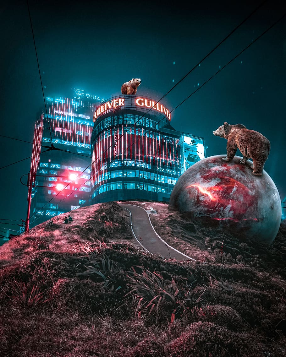 background, cover, building, night, ravine, nature, city, bear, ball, planet