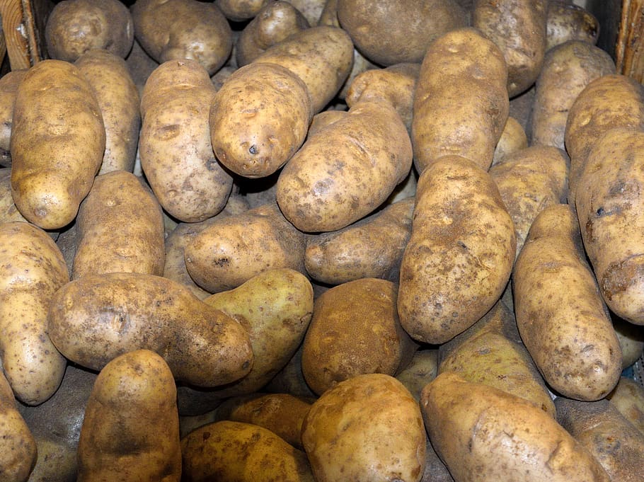 potatoes, for sale, market, food, fresh, organic, vegetable, potato, raw, agriculture