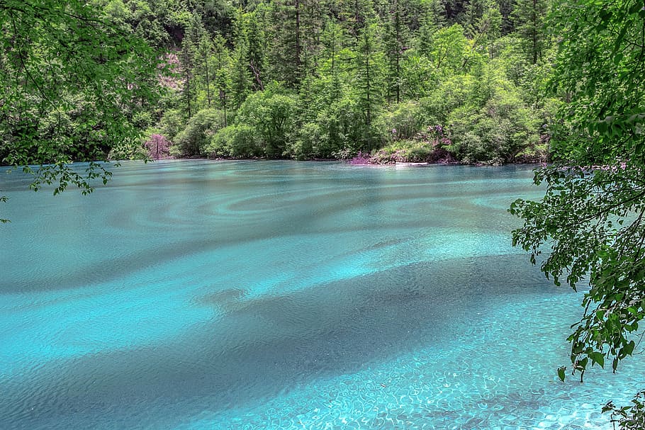 Jiuzhaigou, Water, Heaven On Earth, the scenery, tranquil scene, nature, beauty in nature, tranquility, tree, plant