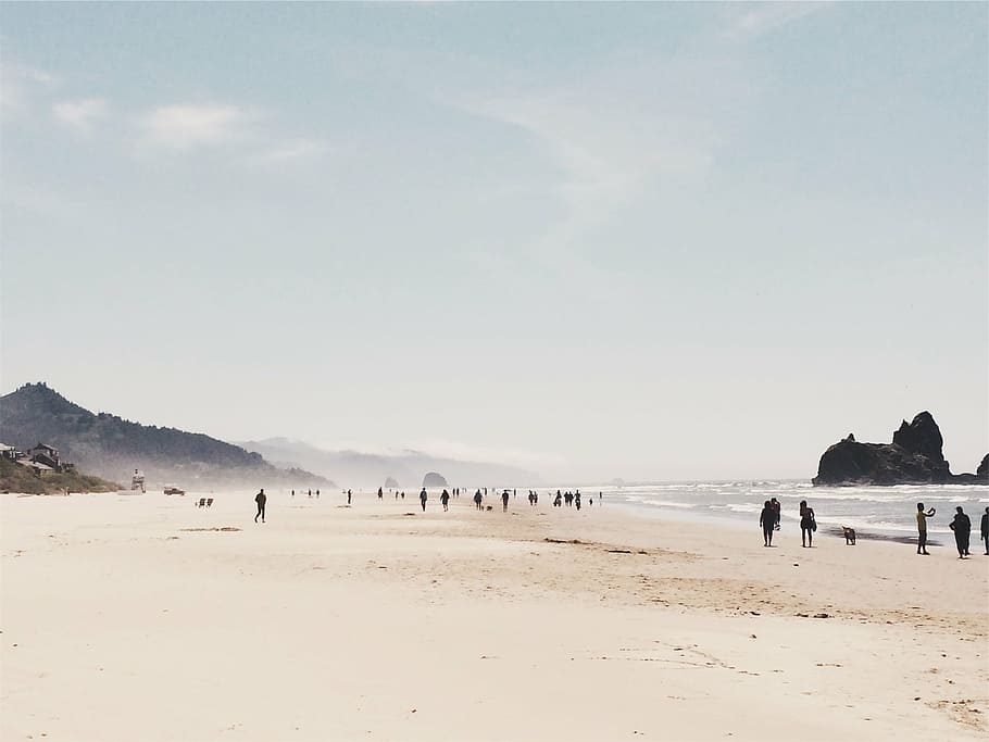 pessoas, andando, beira-mar, praia, dia, areia, céu, costa, oceano, mar