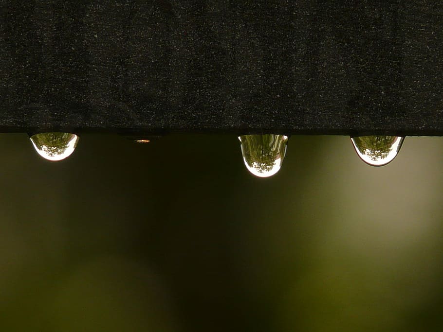 Drip, Raindrop, Water, Wet, surface tension, rain, drop, night, nature, illuminated