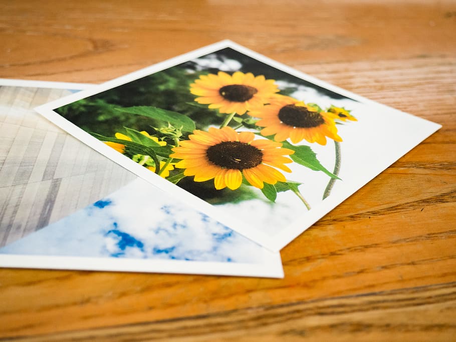 photo prints, Photo, Prints, Desk, flowers, photography, sunflower, wood desk, Macro, Objects
