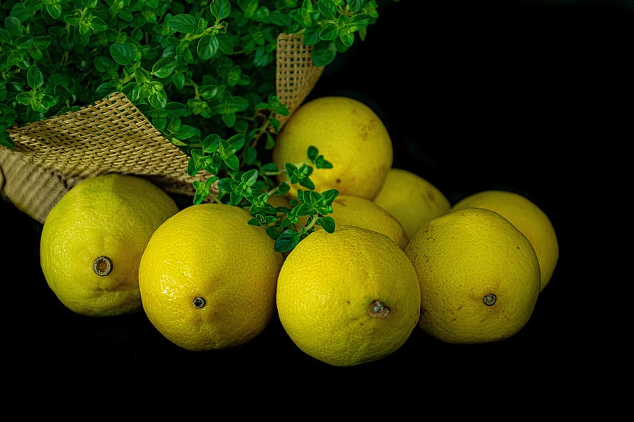limones, cítricos, planta, frutas, maduro, jugo, bebida, natural, verde, limón