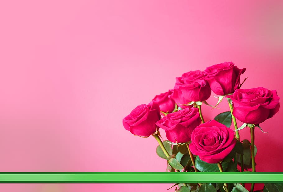 buquê de rosas, flores, presente, aniversário, saudações, dia das mulheres, dia das mães, cartão de felicitações, fita, plano de fundo