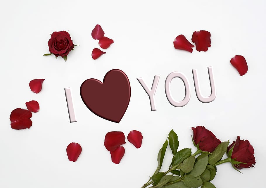 赤, バラ, 私は愛, テキストオーバーレイ, 愛, 心, ロマンス, バレンタインデー, 花, ロマンチック