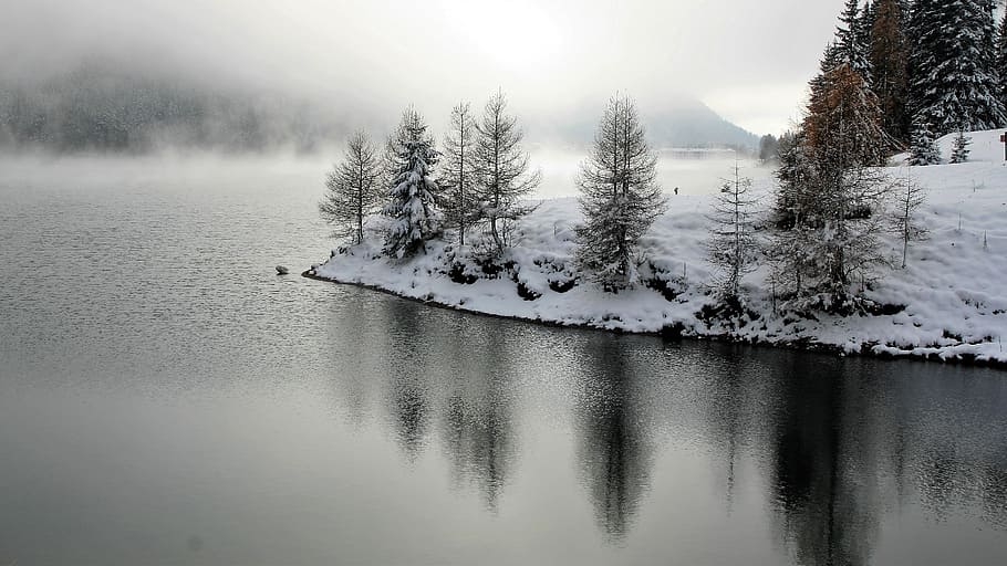 trees, river, daytime, larch, winter, landscape, snow, tree, davos, hdr