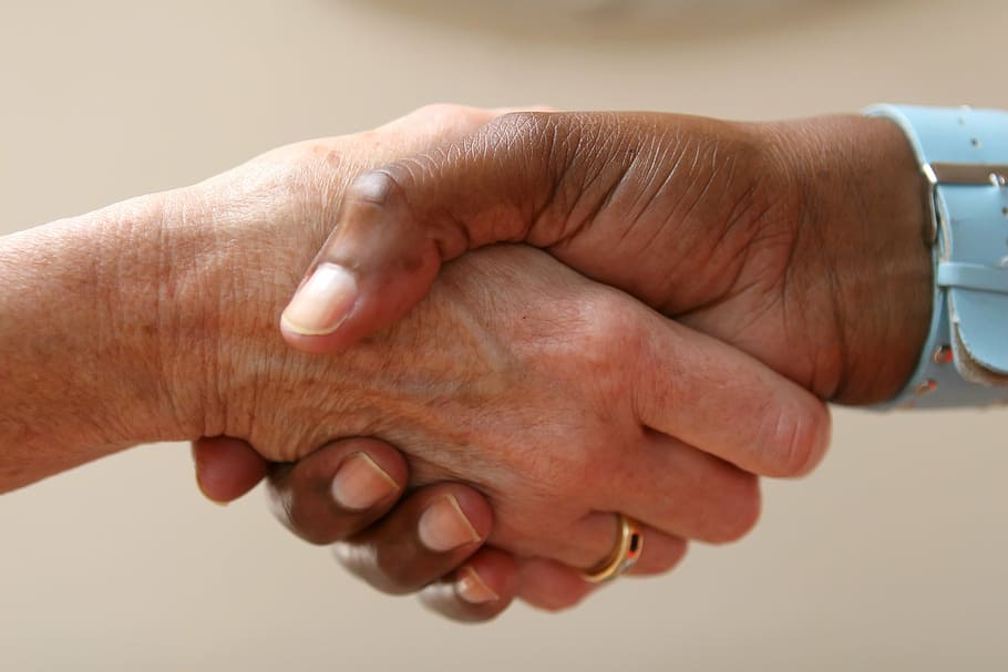 two, person, shaking, hands, agree, agreement, asian, black, business, commerce