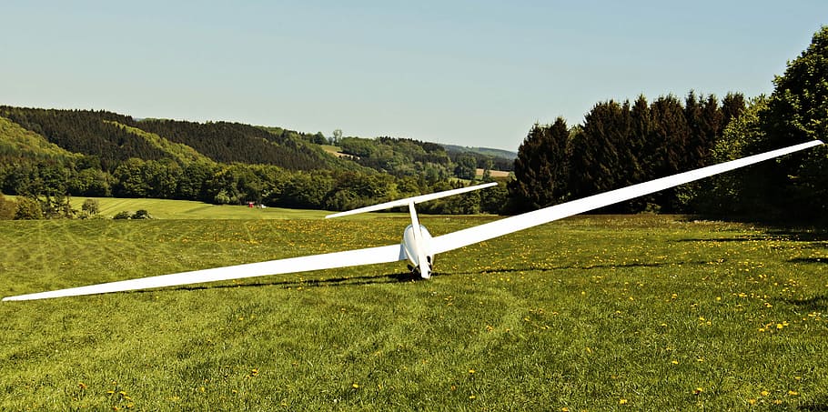 white, plane landing, green, grass, glider, landscape, aircraft, air sports, glide, air