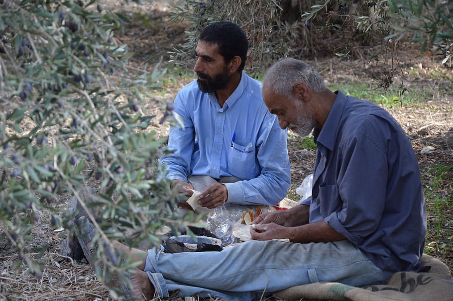 two, men, sitting, ground, refugees, syria, asylum, lebanon, harvest, olives
