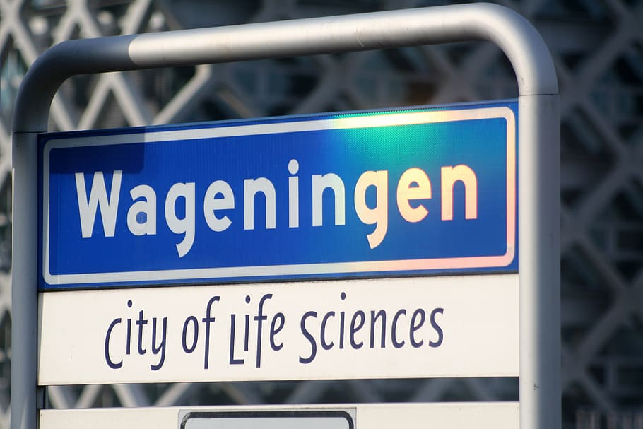 wageningen, university, student city, city, municipality, gelderland, agricultural city, science, text, sign
