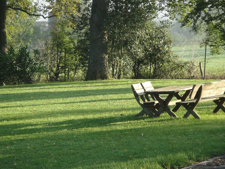 picnic table, park, daytime, bank, picnic, wooden bench, table, garden, furniture for parks, rest
