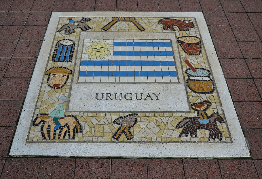 Uruguai, emblema da equipe, rugby, futebol, ícone, brasão de armas, bandeira, equipe, patriótico, bola