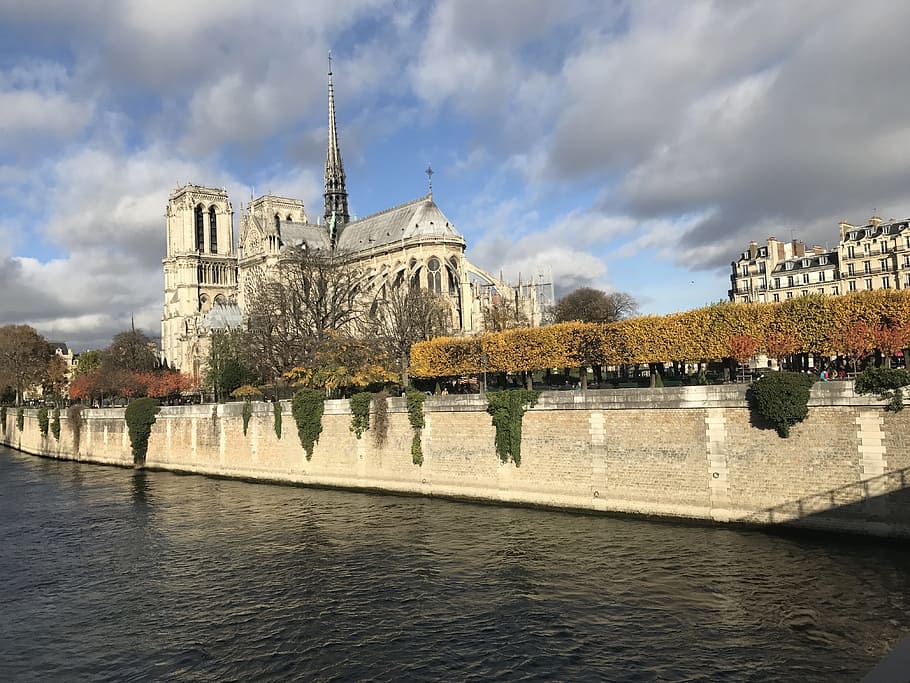 Notre Dame, River, Prancis, Katedral, paris, seine, tengara, arsitektur, eropa, objek wisata