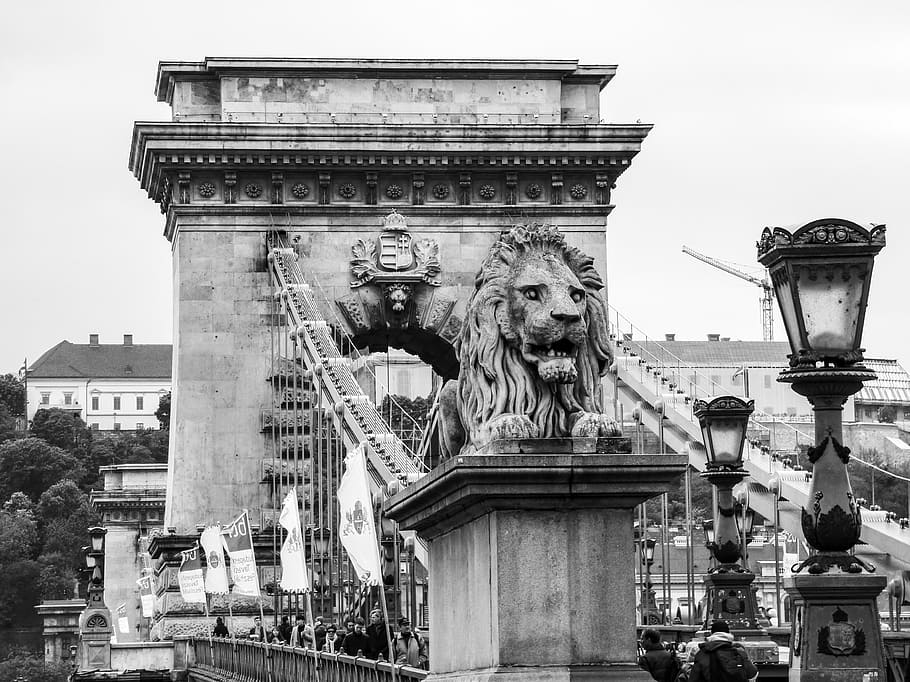 puente emblemático, budapest, hungría, puente, puente de las cadenas, estatua, danubio, ciudad, capital, león