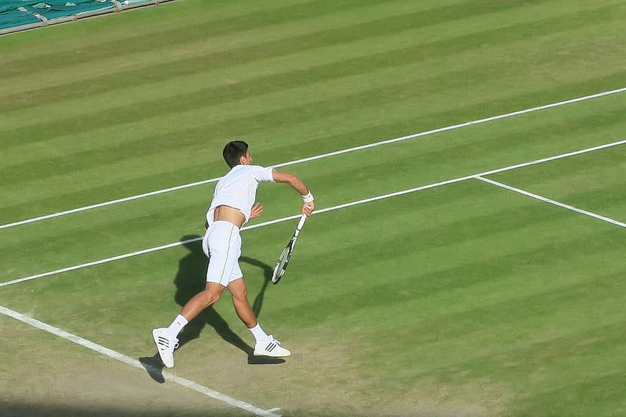 man playing tennis, novak jokovic, mens tennis, wimbledon, lawn, serve, sport, tennis, playing, outdoors