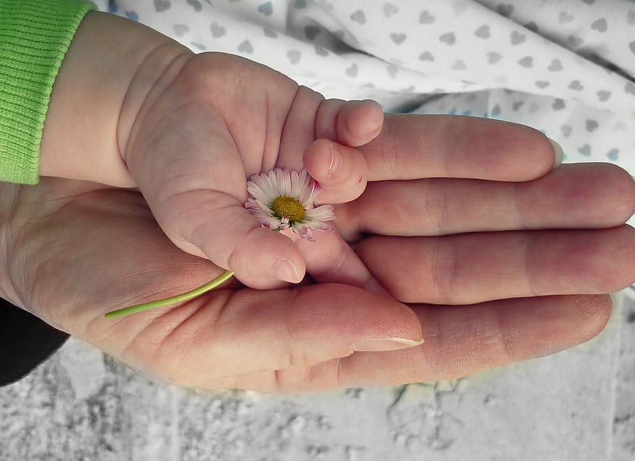 person, laying, hand, baby hand, holding, white, flower, hands, love, eternity