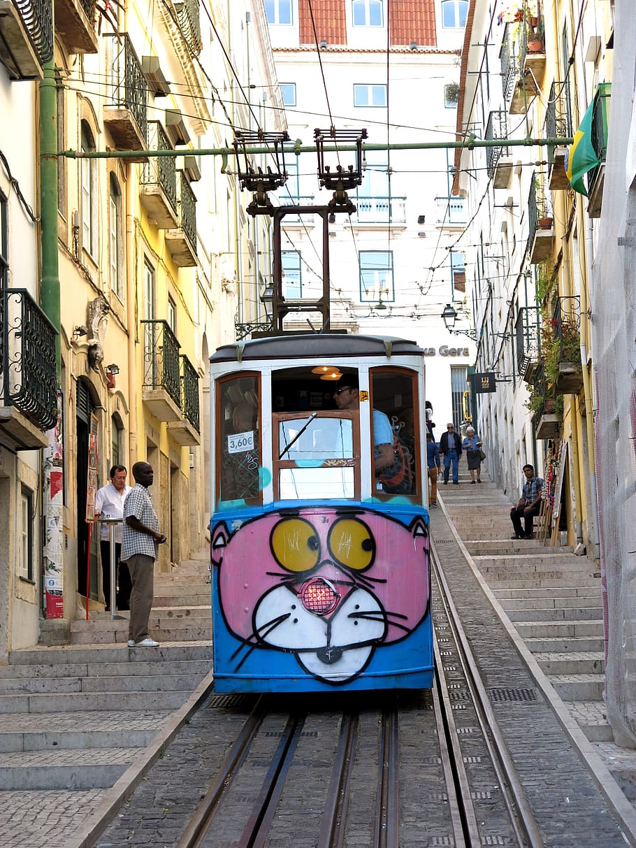 tram, lisbon, portugal, transport, lisboa, pink panther, historic center, building exterior, architecture, built structure