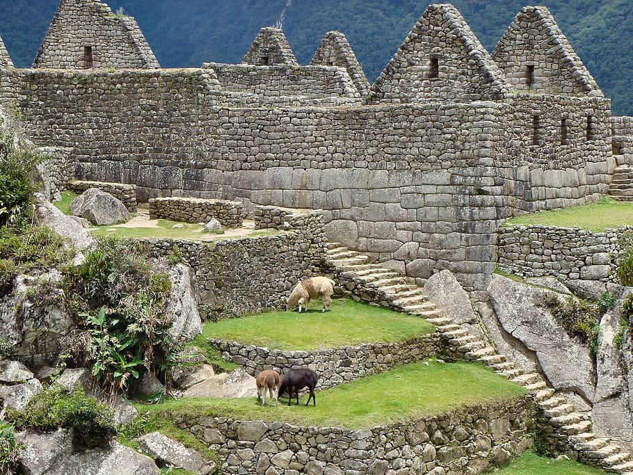 gray, brick houses, daytime, machu picchu, ruins, old town, incas, peru, inca, south america