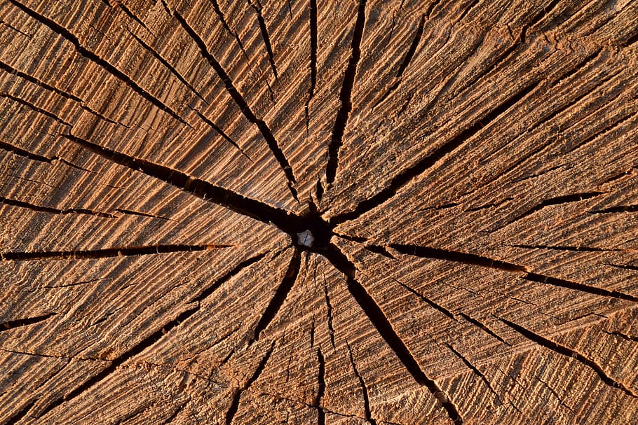 背景, 構造, 古い木材, 木材, 硬化木材, 年輪, 恒星, 亀裂, 乾燥, 茶色