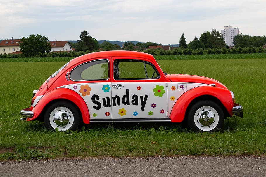 vw, escarabajo, volkswagen, oldtimer, vw escarabajo, auto, clásico, vehículo, automotriz, días