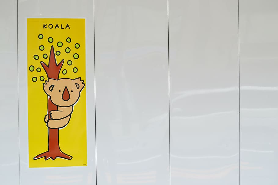 koala, wall, sticker, stiker, drawing, yellow, cartoon, communication, sign, representation