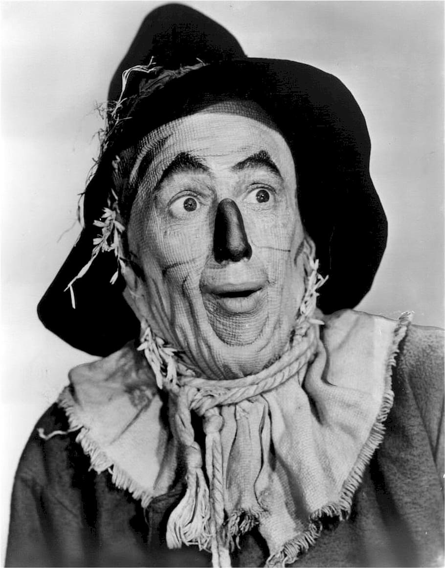 man, wearing, clown costume grayscale photo, the wizard of oz, ray bolger, actor, scarecrow, character, yellow brick road, movie