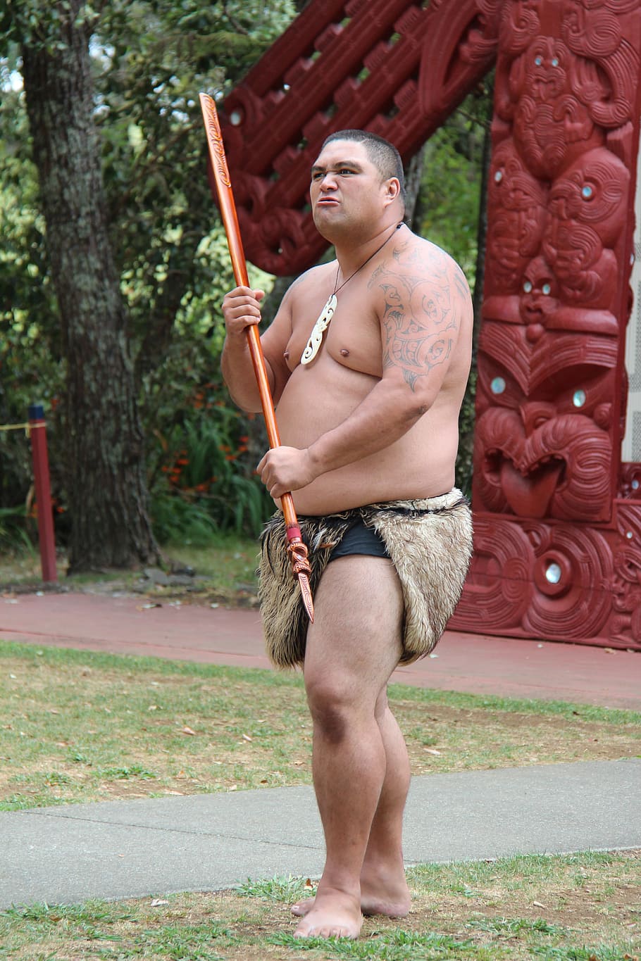 Maori, Homem, Lança, Lutador, Guerreiro, sombrio, ataque, nova zelândia, cultura, tradição