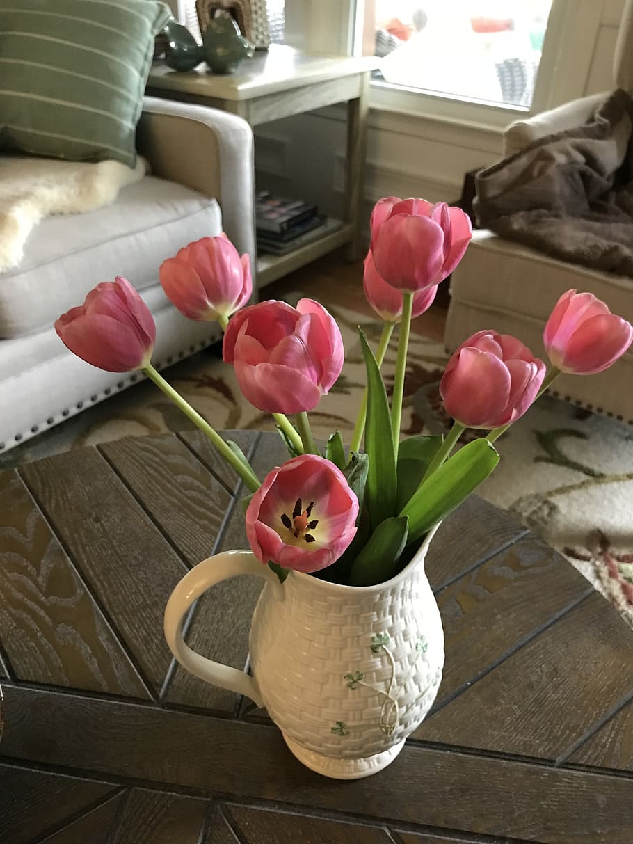 shamrock, pitcher, tulips, flower, flowering plant, plant, pink color, beauty in nature, freshness, vase