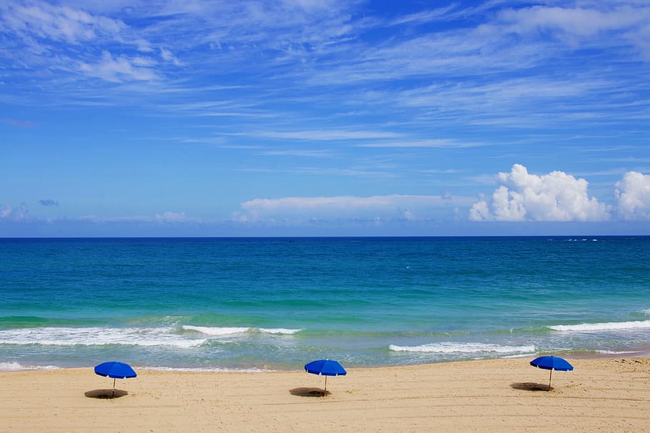three, blue, beach umbrellas, seashore, clearsky, daytime, beach, ocean, sea, water