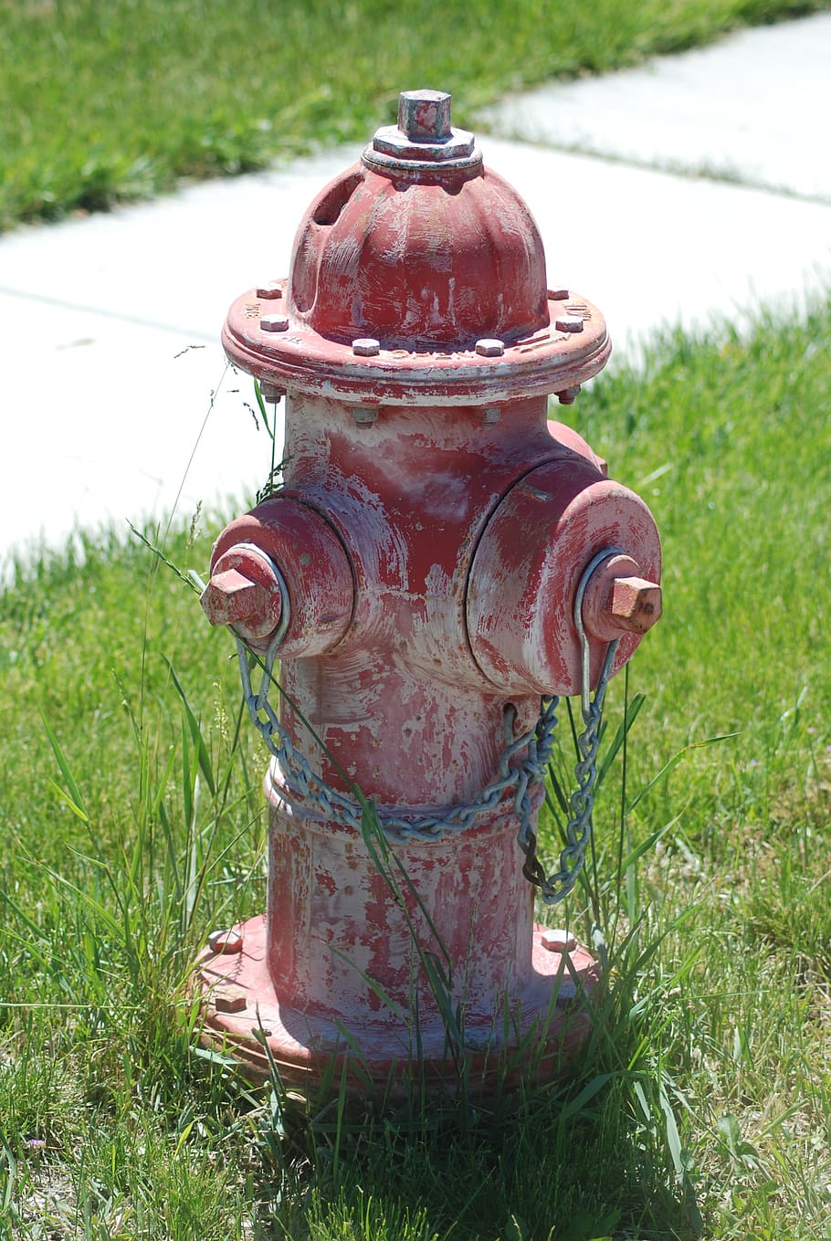 hydrant, fire hydrant, red, water, extinguish, grass, plant, field, day, metal